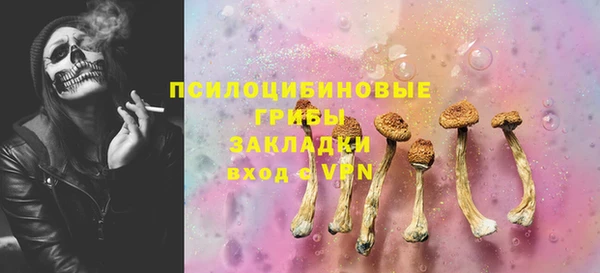СК Елизово