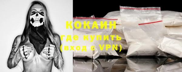 ALPHA PVP Ельня