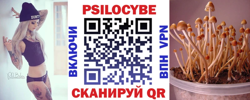 Галлюциногенные грибы GOLDEN TEACHER  Пролетарск 