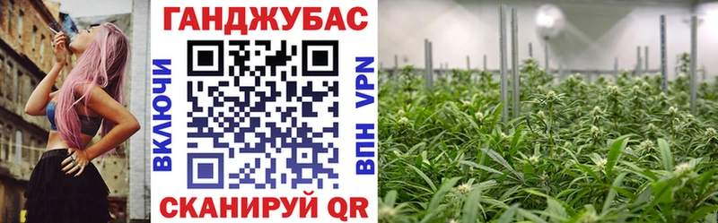 Бошки Шишки тримм Пролетарск